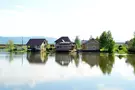 Калина Красная