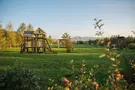 Калина Красная