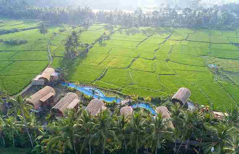 Beehouse Dijiwa Ubud (Adults Only 16+)