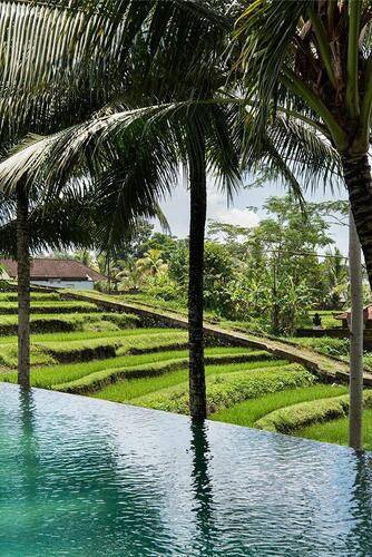 Blue Karma Dijiwa Ubud