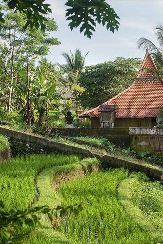 Blue Karma Dijiwa Ubud