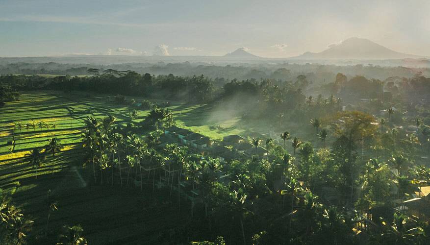 Kappa Senses Ubud