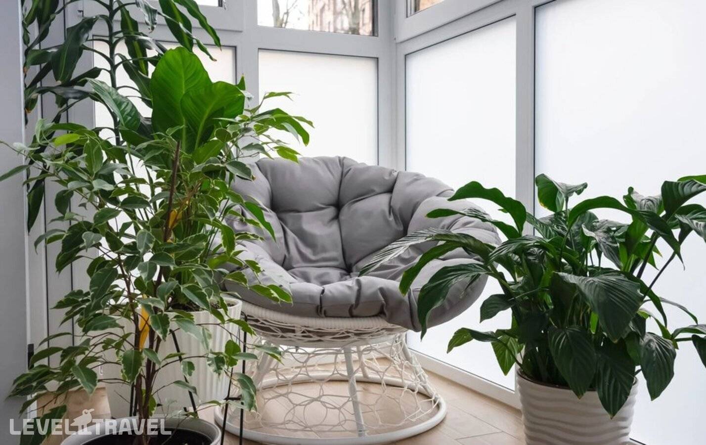 фотографии отеля Pavlov У Музея Марципана в Россия(Калининград) - фото №16