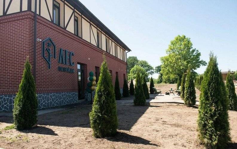 Лес