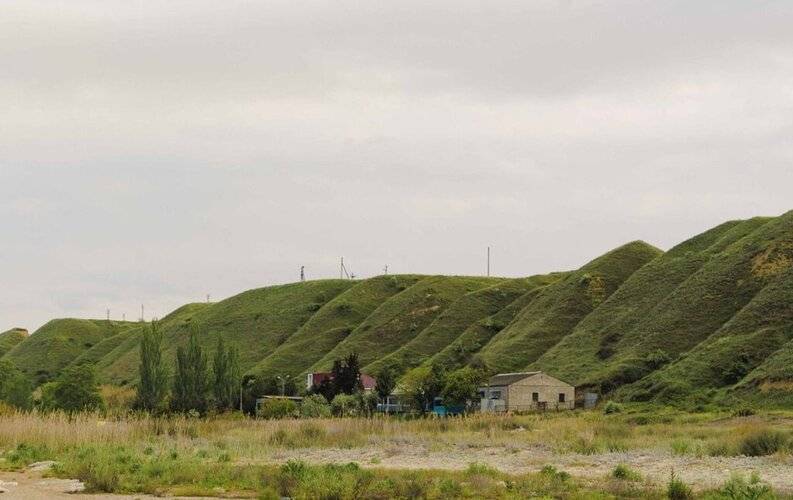 Ника