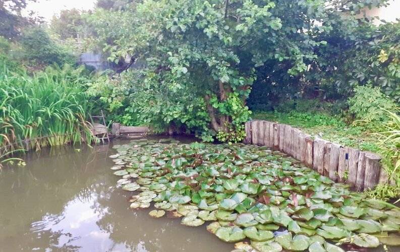 Кранз Делюкс Дом У Моря