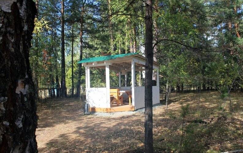 Новая Ельня