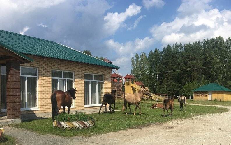 Новая Ельня