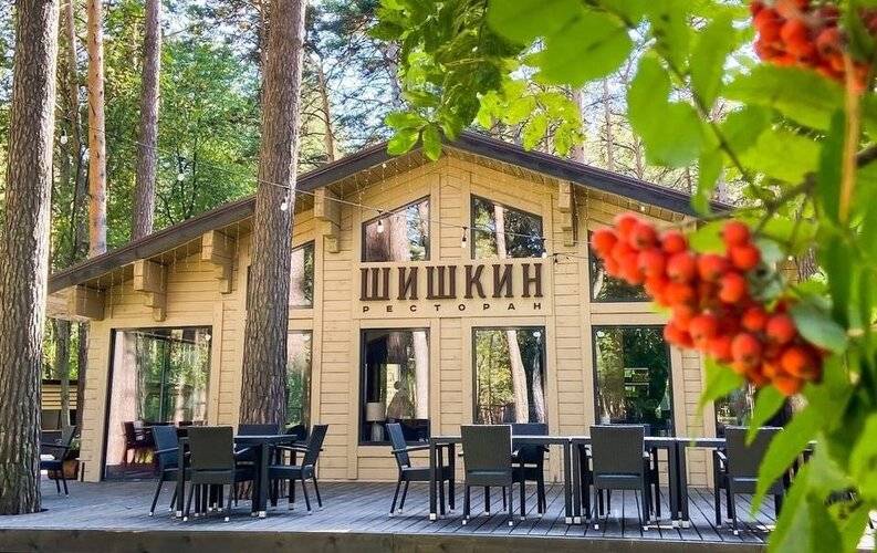Чкаловские Дачи