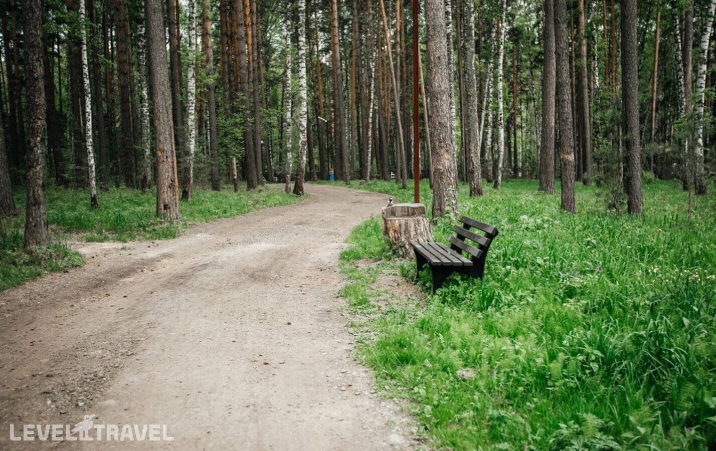 фотографии отеля Чкаловские Дачи в Россия(Новосибирский район) - фото №17