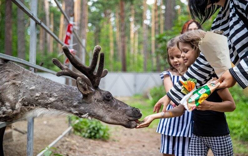 Чкаловские Дачи