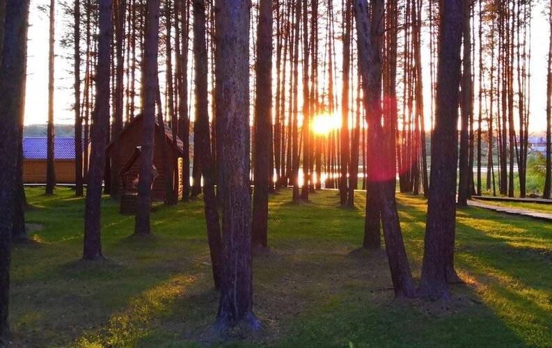Светофор