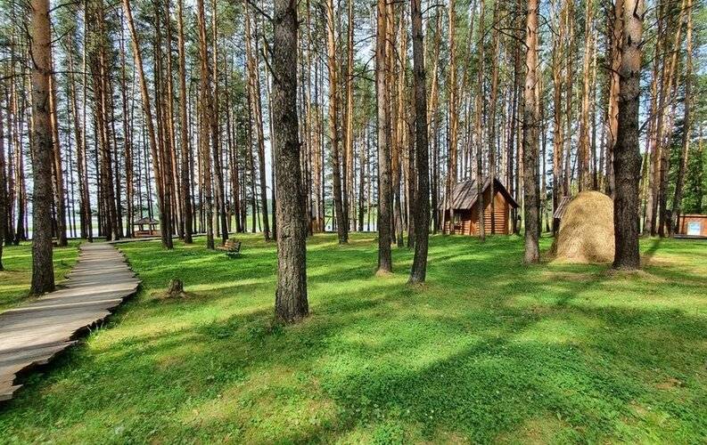 Светофор