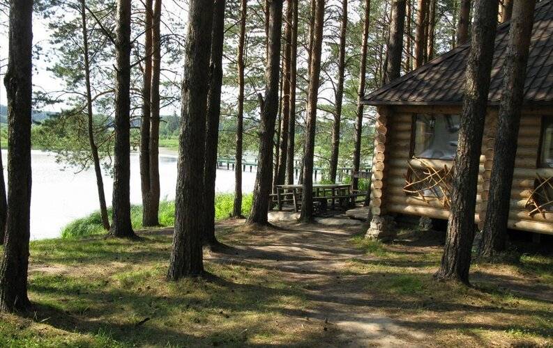 Светофор