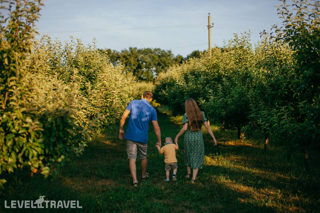 фотографии отеля Apparadise Glamping & Spa в Россия(Краснодарский край) - фото №4