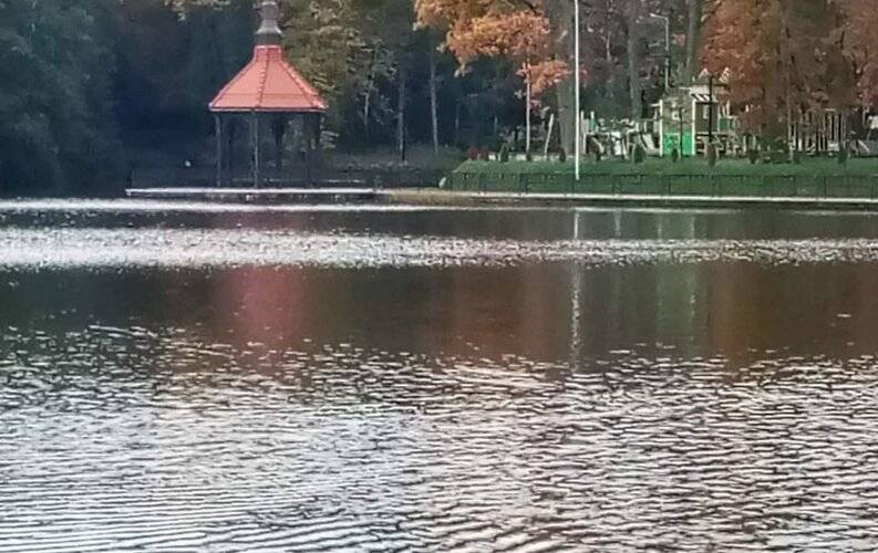 Кранз Делюкс На Майском Проезде 10