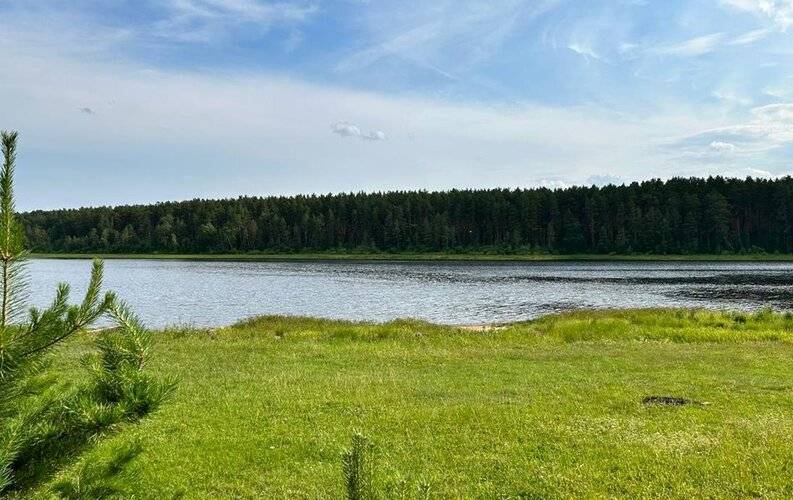 На Тимирязева