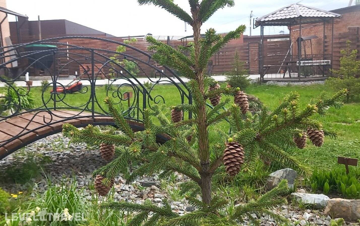 фотографии отеля Вариант в Россия(Чебаркуль) - фото №7