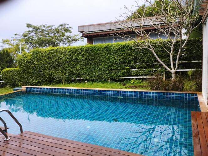 Phuket Jungle Experience Resort