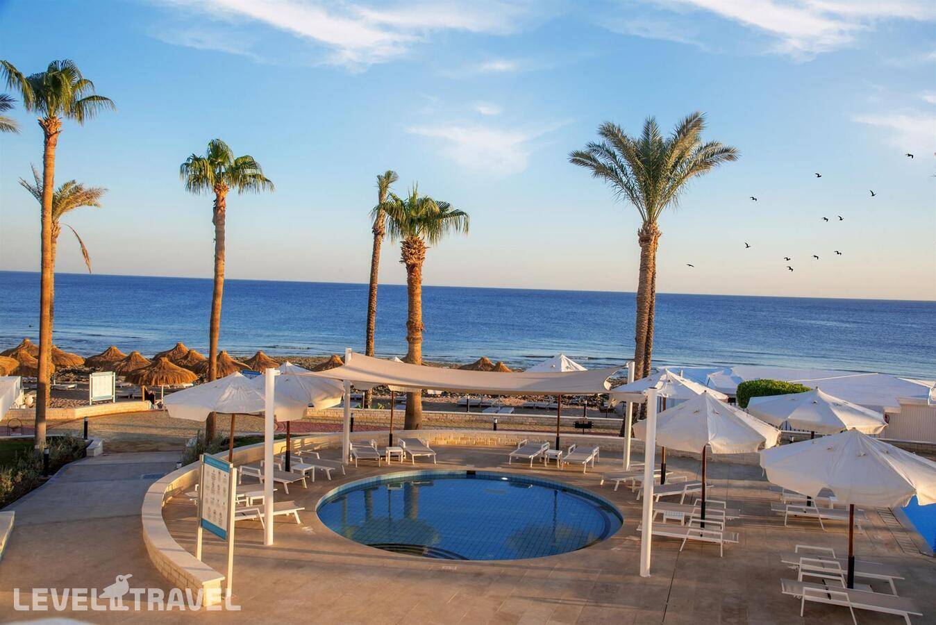 фотографии отеля Posh Club By Sunrise Remal Beach в Египет(Шарм-эль-Шейх) - фото №15