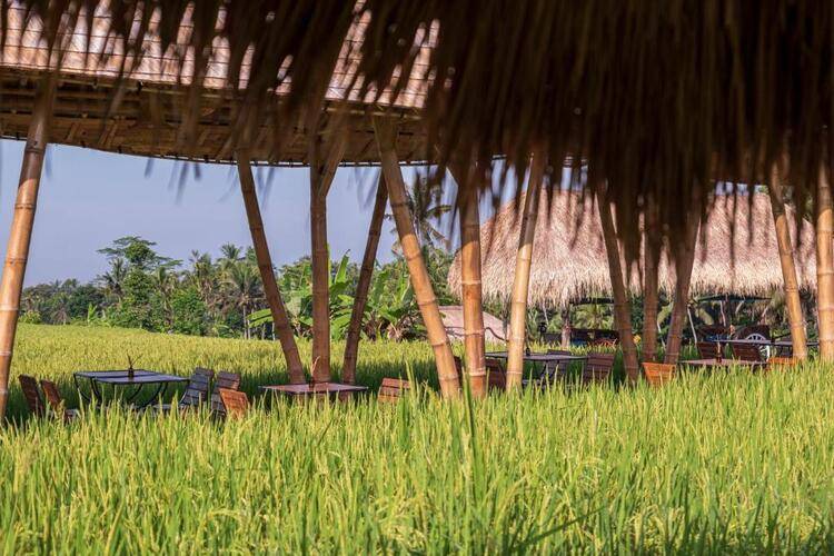 The Sun Of Granary Resort And Villas