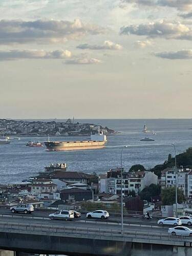 Mona Bosphorus