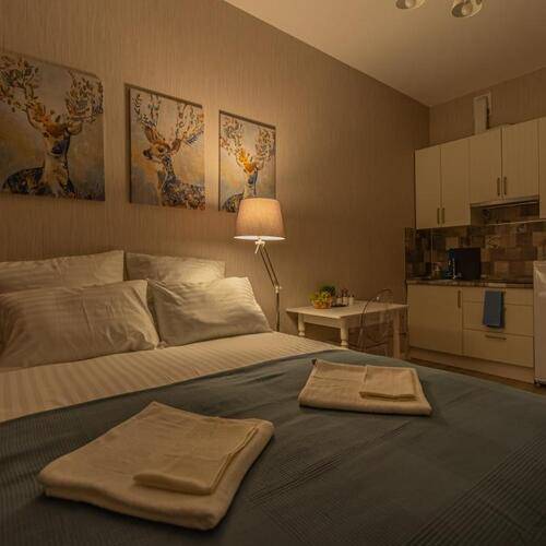 Салютапарт 14