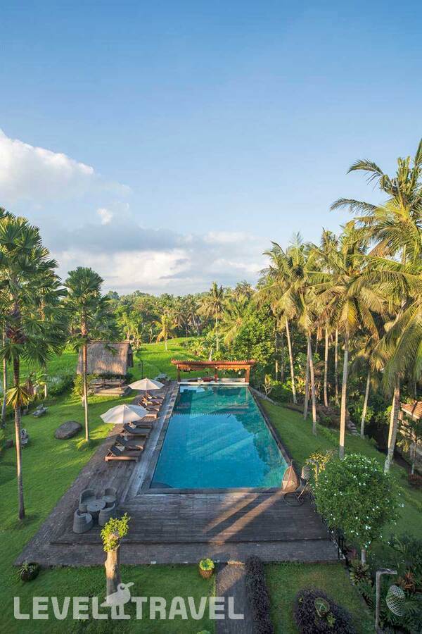 фотографии отеля The Artini Dijiwa Ubud в Индонезия(Убуд) - фото №5