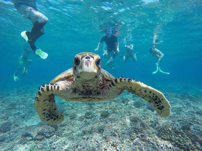 Ahola Thoddoo