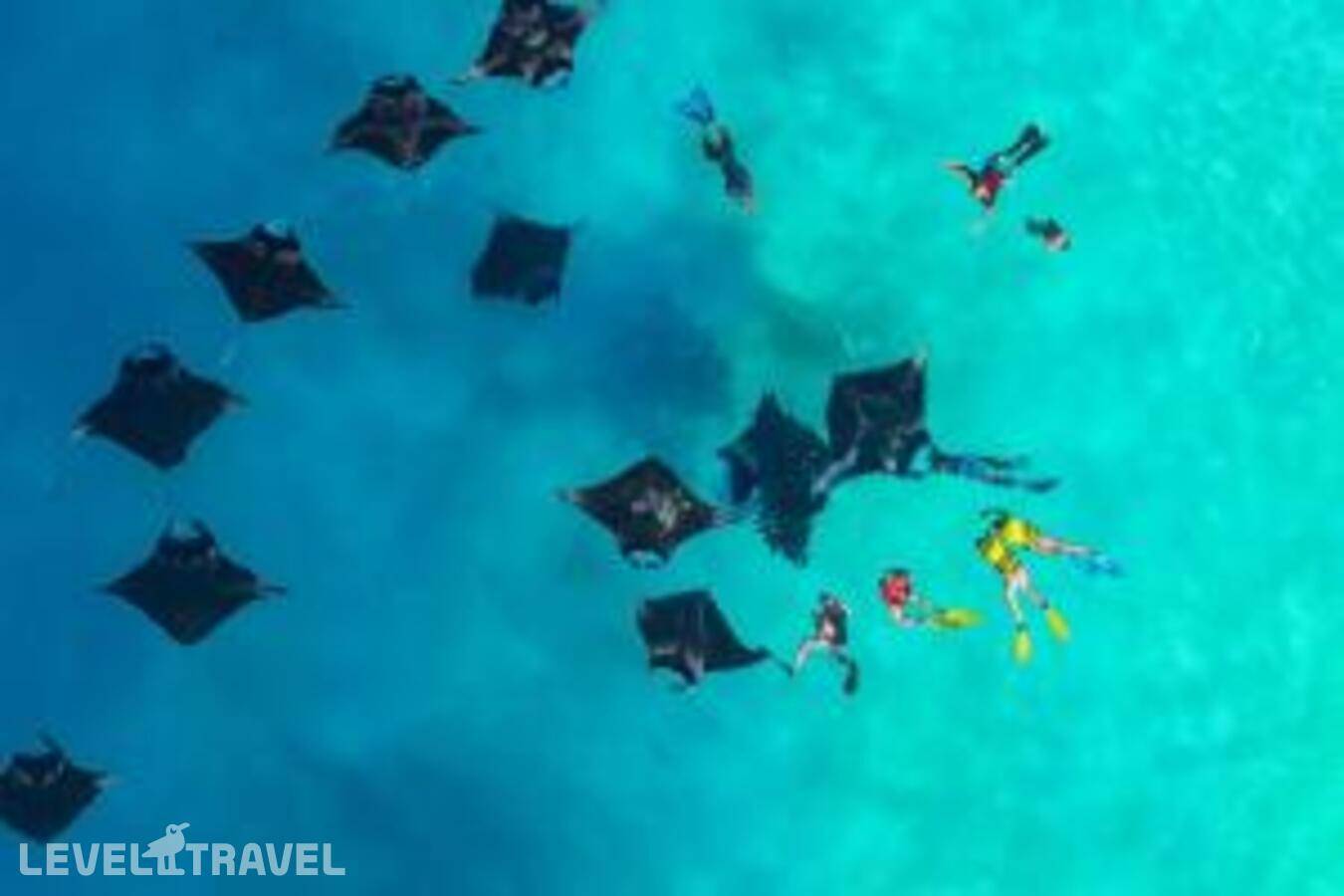 фотографии отеля Swarn By Hawks Hotels в Мальдивы(Баа Атолл) - фото №11