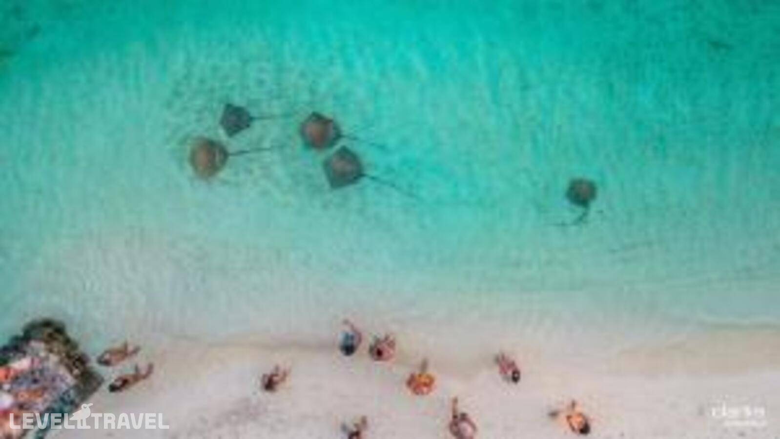 фотографии отеля Swarn By Hawks Hotels в Мальдивы(Баа Атолл) - фото №17