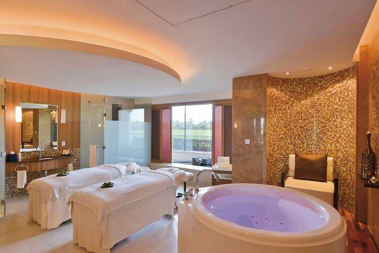 Melia Desert Palm Member Of Melia Collection