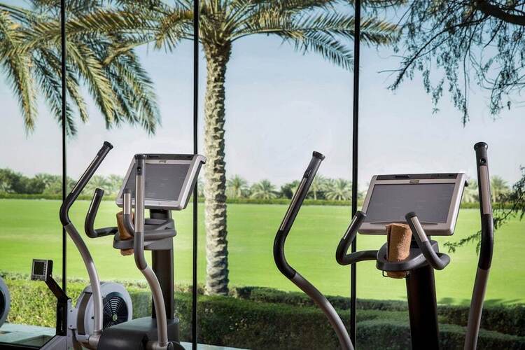 Melia Desert Palm Member Of Melia Collection