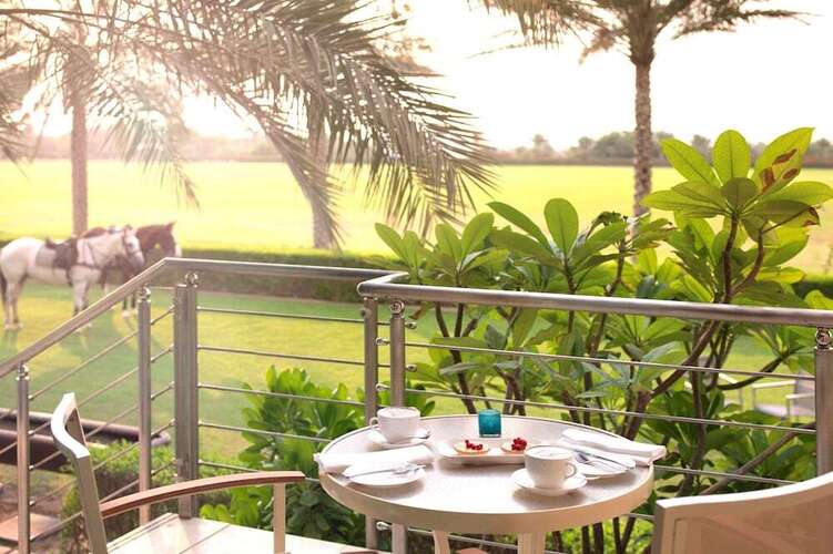 Melia Desert Palm Member Of Melia Collection