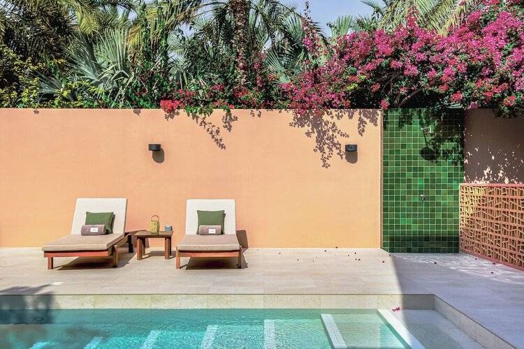 Melia Desert Palm Member Of Melia Collection