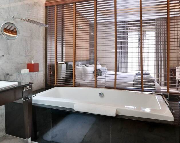Melia Desert Palm Member Of Melia Collection