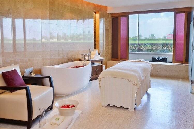 Melia Desert Palm Member Of Melia Collection