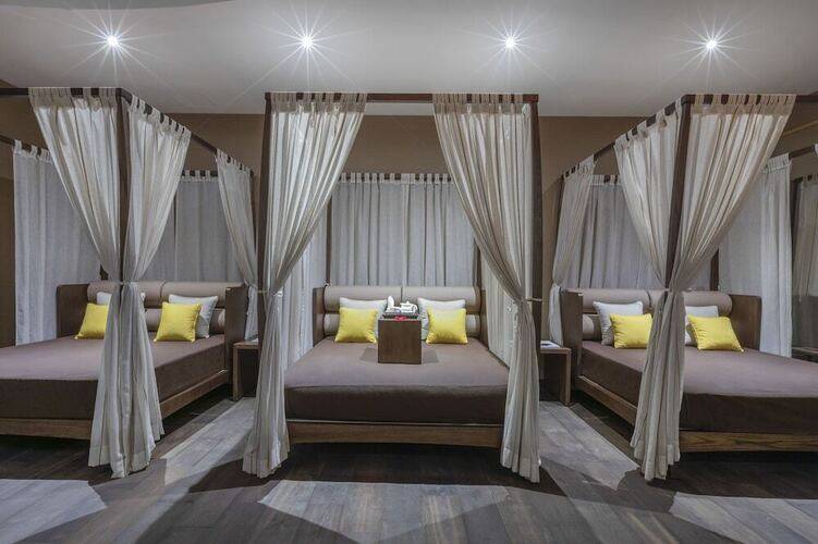Melia Desert Palm Member Of Melia Collection