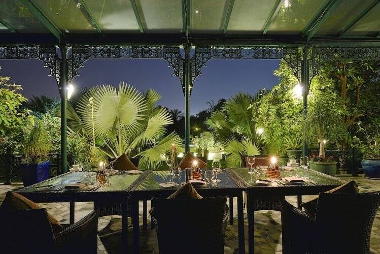 Melia Desert Palm Member Of Melia Collection