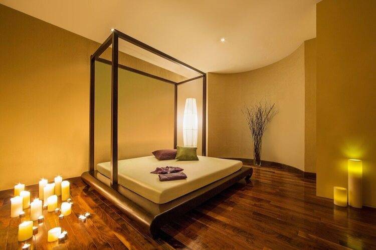 Melia Desert Palm Member Of Melia Collection