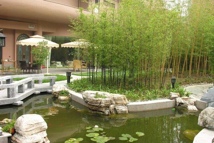 Beijing Asia Hotel