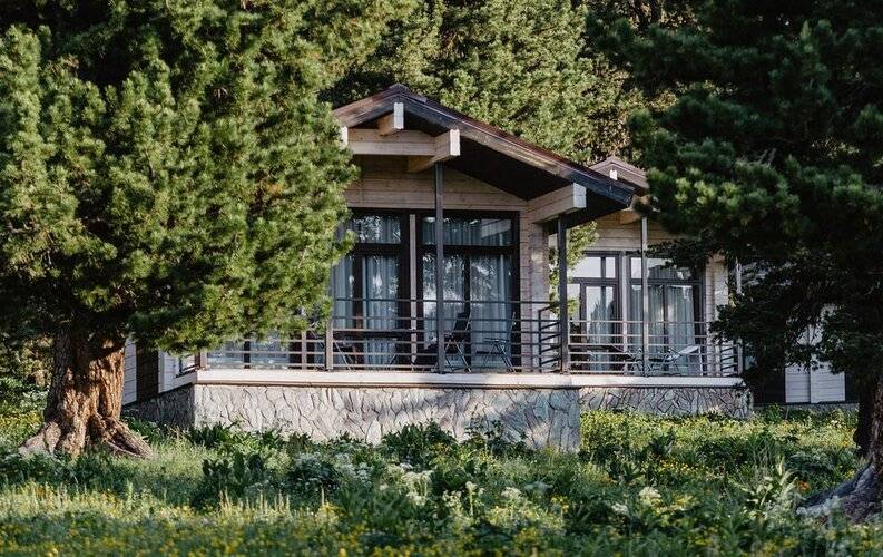 Priroda Природа Семинский Перевал