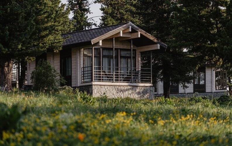 Priroda Природа Семинский Перевал