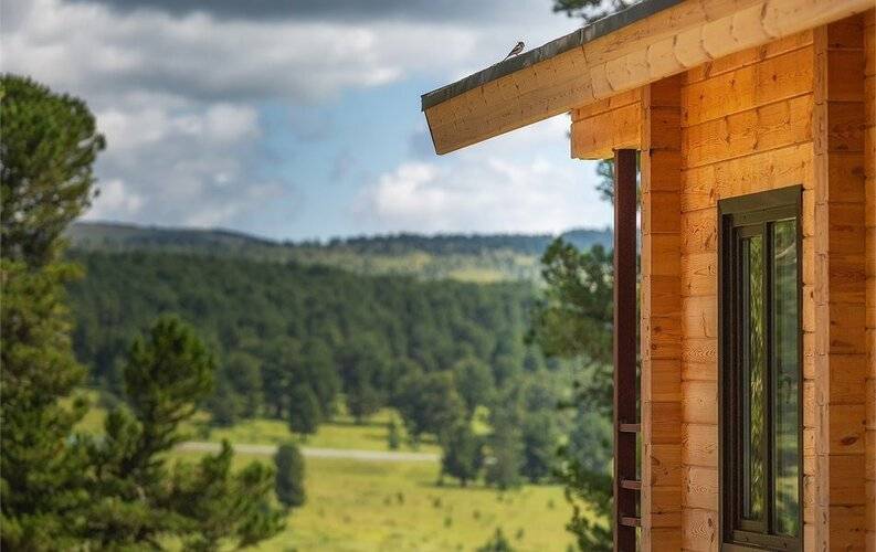 Priroda Природа Семинский Перевал