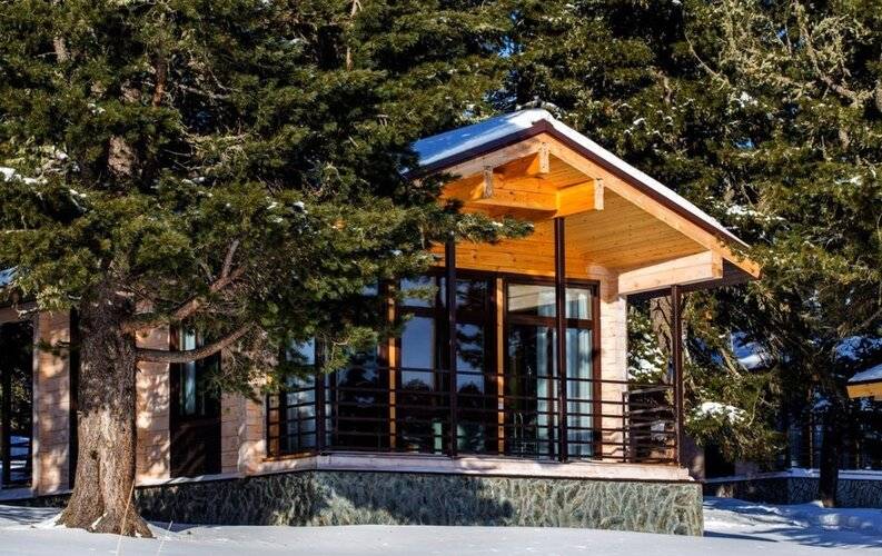 Priroda Природа Семинский Перевал