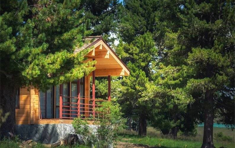 Priroda Природа Семинский Перевал