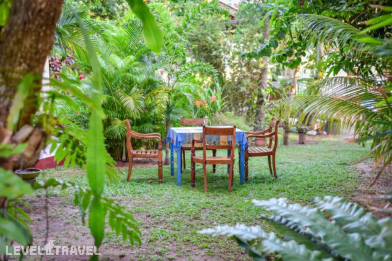 фотографии отеля Fin Lanka в Шри-Ланка(Хиккадува) - фото №23