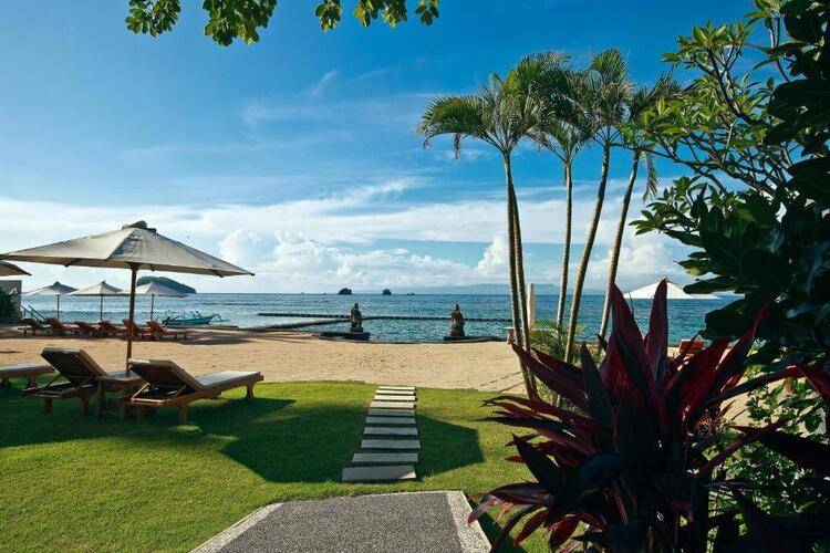 Orlowsky Discovery Candidasa