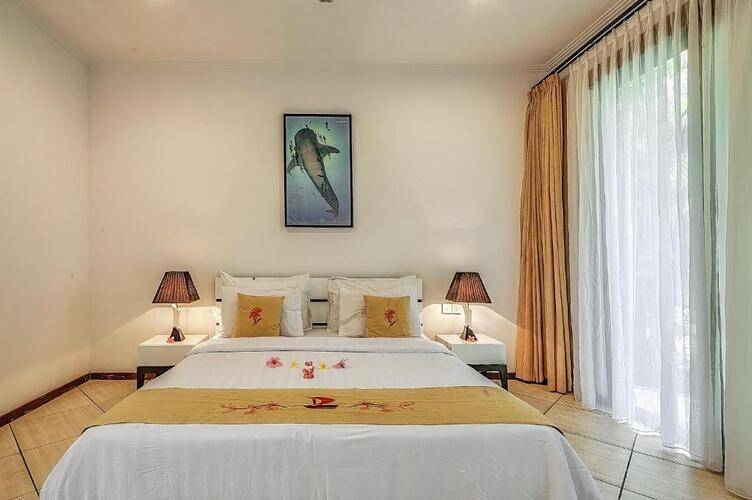 Orlowsky Discovery Candidasa