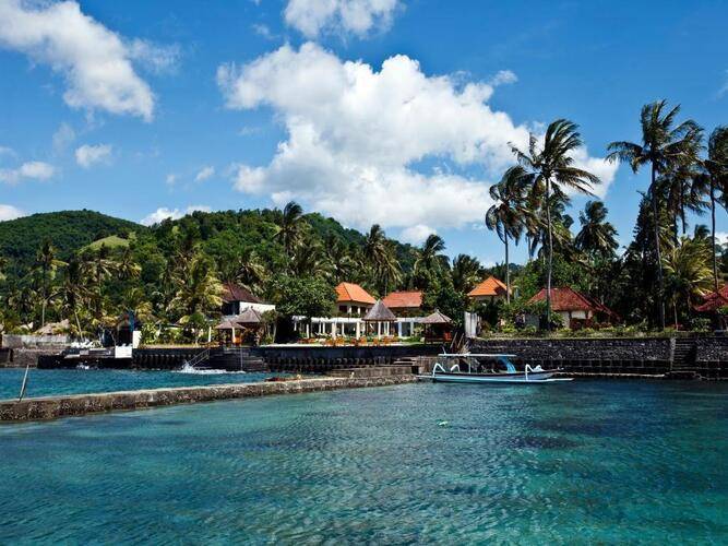 Orlowsky Discovery Candidasa